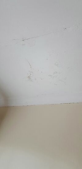 Böse Zungen behaupten, es sei schon lange bekannt,...