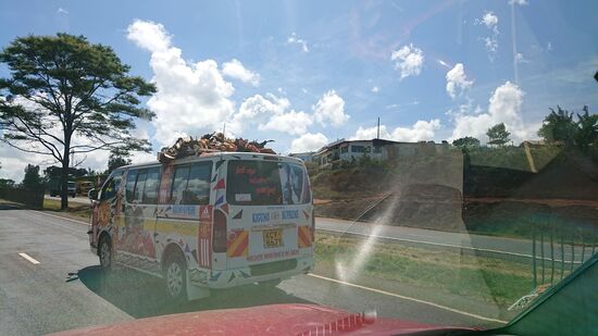 Mal wieder ein Hühnertransport. Trotzdem immer wieder faszinierend