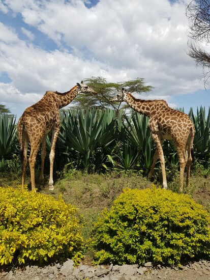 Da lohnt es sich, im Schneckentempo zu reisen.
