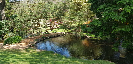 eine knappe Stunde von Nairobi entfernt gibt es eine kleine Oase der Erholung