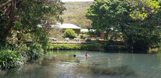 und einem Schwimmteich