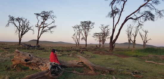Sundowner in Lewa