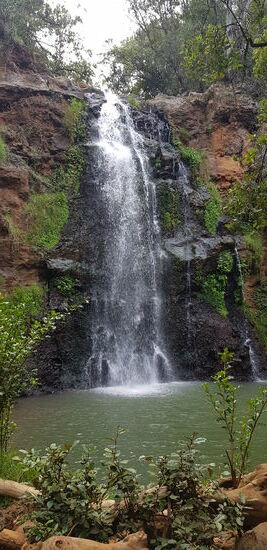 Ausflug in den Ngare Ndare Forest
