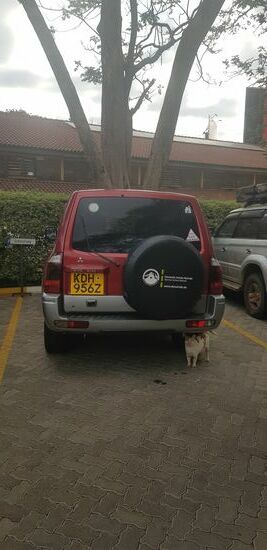 Sogar die Katze hat sich gefreut!