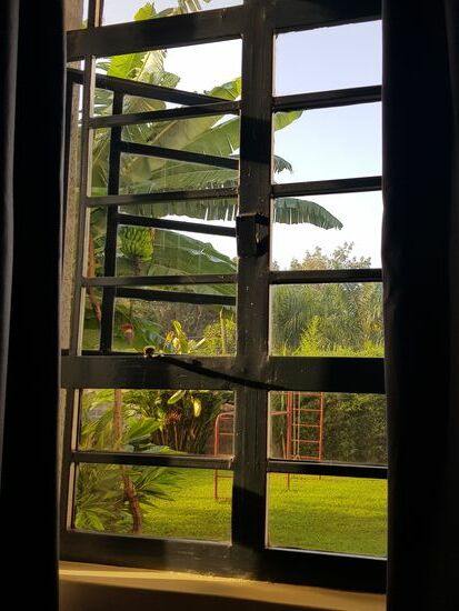 Blick aus meinem Bett