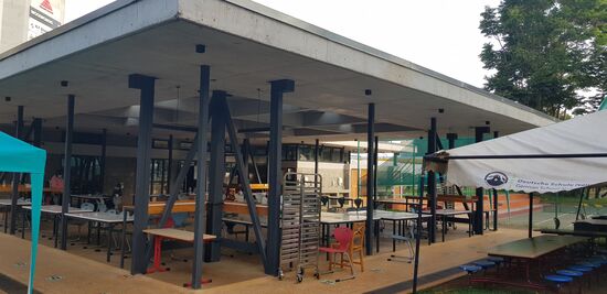 Direkt vor meinem Fenster