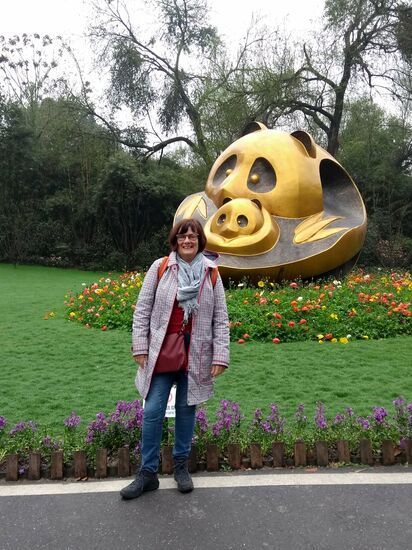 Pandas in allen möglichen Formen