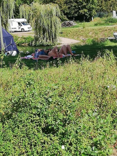 Ein sonniges Bad am Nachmittag auf der Wiese, während Nobby sich auf dem Boot seinem Reisebericht widmet....