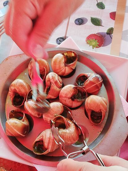 ...und selbstverständlich gibt es auch Schnecken...