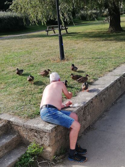 ...die kleinen Freunde wollen gefüttert werden...