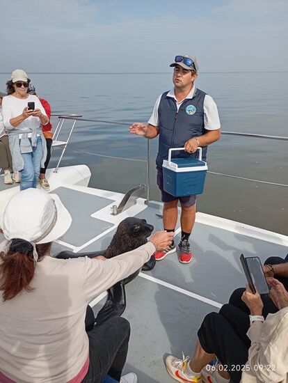 Ich komme nicht näher heran, ohne mich dabei unbeliebt zu machen