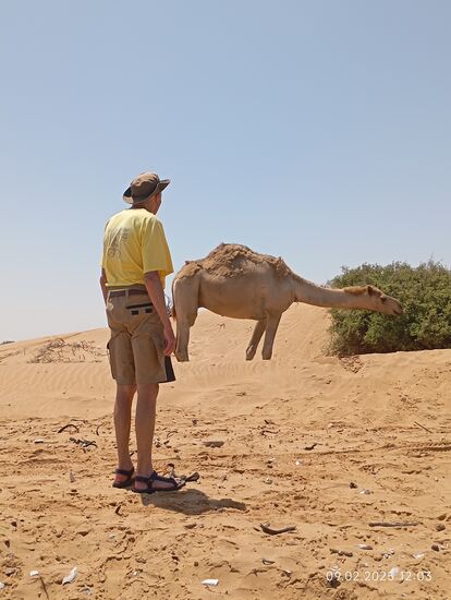 er wolle die beiden Kamele dort auf ein Bild bringen, ich solle an das linke mal etwas näher rantreten.