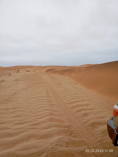 Nur im Steilhang findet der Frosch seinen Lebensraum. Was er dort zu fressen finden mag ? Genug zum Überleben ! Der Käfer vorher mag ja deswegen so schnell geflüchtet sein.