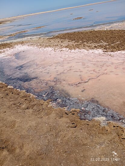 Salzwasserflächen, soweit das Auge reicht, unterbrochen von Ackerflächen, die aber auch nur von Salz zusammengehalten weden und alle Farbnuancen zwischen blau, grün und rosa