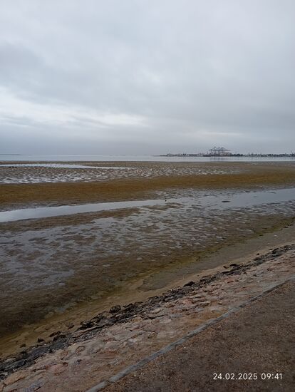 Da hinten sind die Flamingos, da könnt ihr sie knipsen, wird den Touristen auf einer extra Parkplattform mit 10 Minuten Parkzeit gesagt
