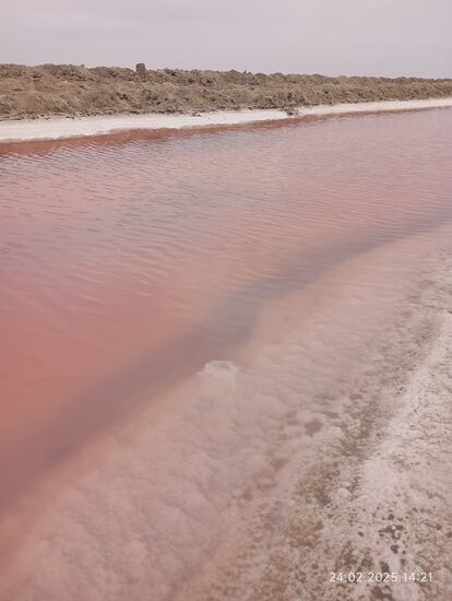 dieses Wasser fließt sogar in immer trockener werdende Flächen, Gefälle wird kaum benötigt, das zunehmende spezifische Gewicht reicht aus, denn es  verdunstet immer mehr Flüssigkeit unterwegs in 10 bis 16 Monaten !
