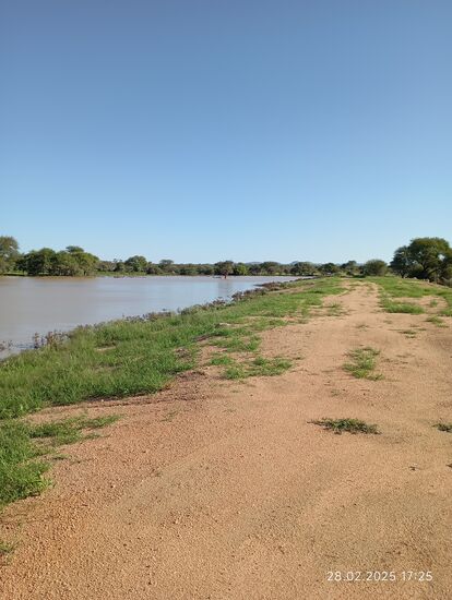 Diesen Damm hat man geschaffen, damit zur Regenzeit etwaiges Wasser nicht abfließt, sondern auf der Farm möglichst für Monate zur Verfügung steht.
