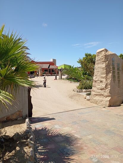 Hinter dieser Mauer hat man alles, was in Steppe und Wüste noch wachsen kann, dekorativ angepflanzt und hält es bewässert.