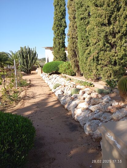 Einmal wöchentlich muß der Garten Wasser bekommen, in den letzten beiden Jahren hatte es dazu nicht gereicht !
