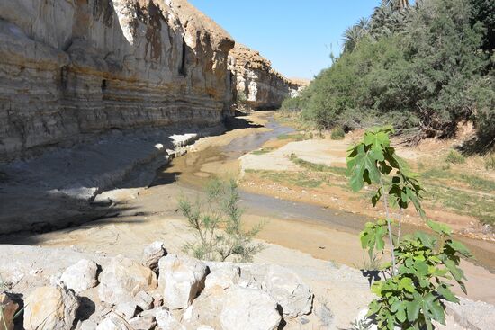 hier geht es wieder zurück