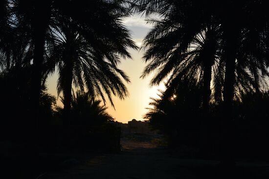 es dauert nur wenige Minuten, und schon hat sich der neue Tag angekündigt