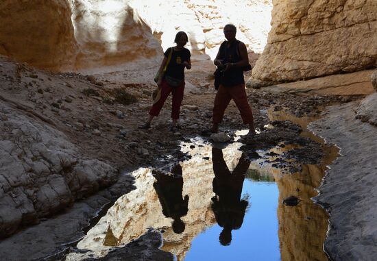 perfekte Spiegelungen