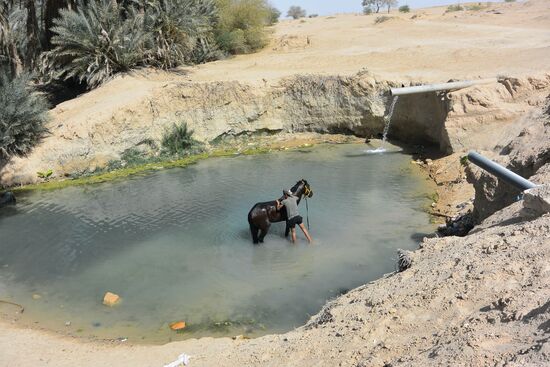 welch ein Paradies muss das hier früher gewesen sein