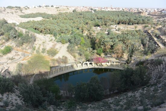 die Korb-Oase von Nefta