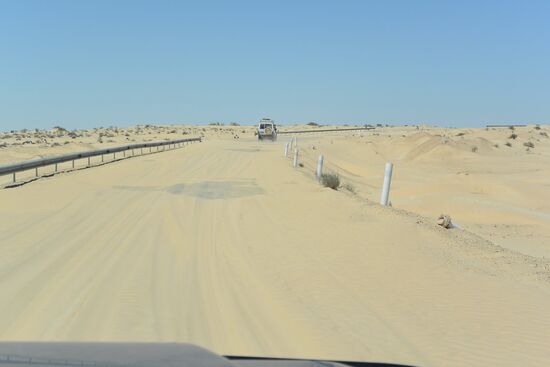 auf einer Asphaltstraße in die Wüste