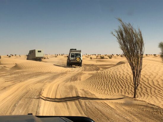 zwischen mit Tamarisken bewachsenen Sanddünen hindurch
