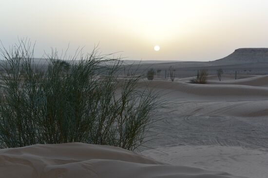 eine blasse, helle Scheibe aus dem Dunst des Horizontes