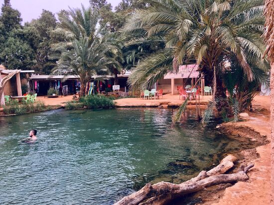 im Quellpool von Ksar Ghilane