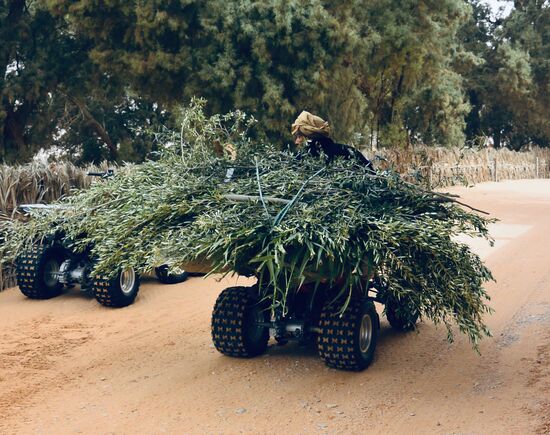 moderne Transportmittel