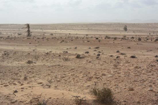 jetzt finde mal den Weg durch die Wüste Off Road