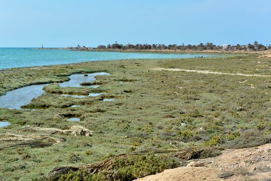 Salzwiesen auf der Westseite von Djerba