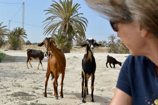 sie sind schneller in unserer Kühltasche, als wir denken