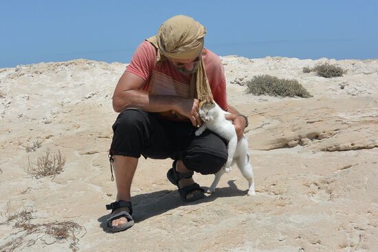 Katzen, Katzen, überall Katzen