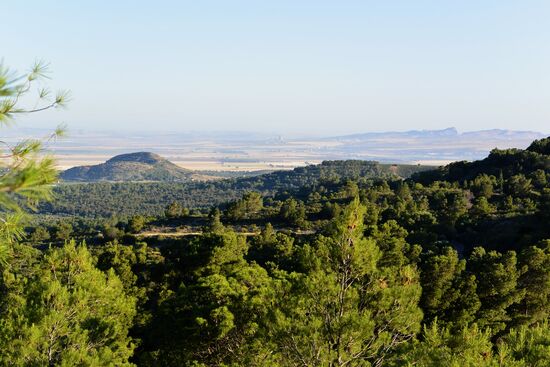 der Blick über die Ebene nach Karthago