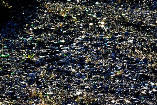 wir sind hier in einem Naturschutzgebiet