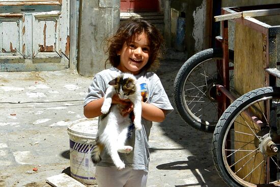 Spiel mit der Katzenfamilie