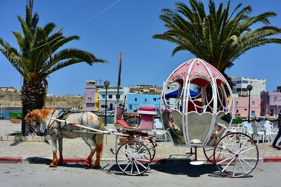 mit Henna verziertes Pferd vor der Kutsche