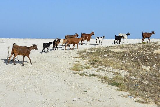 Besucher in den Morgenstunden