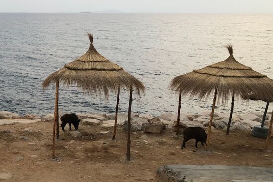 Putzkolonne hinter dem Restaurant