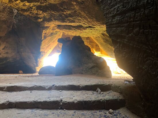 ein steinerndes Dromedar guckt ins Tageslicht