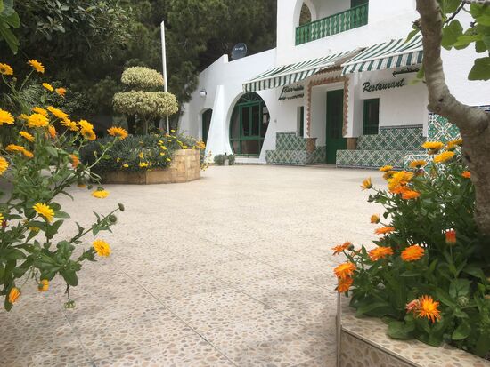 Blumenpracht auf dem Campingplatz von Nabeul