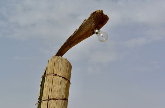 Lampenkreation aus einem Palmenwedel