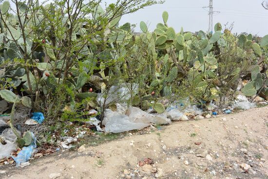 Auch die Kakteen sind gute Müllfänger.
Niemand wird das Zeugs jemals hier wieder heraus holen.