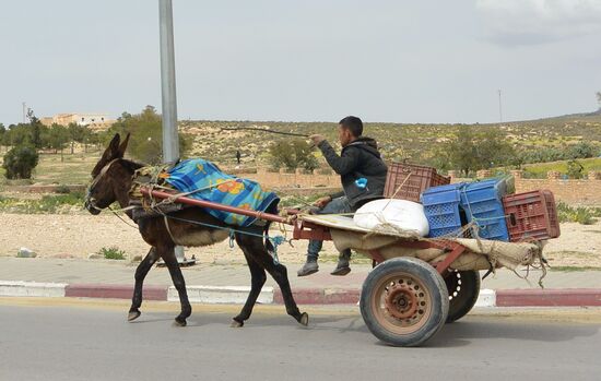 Transporte mit biodynamischem Antrieb