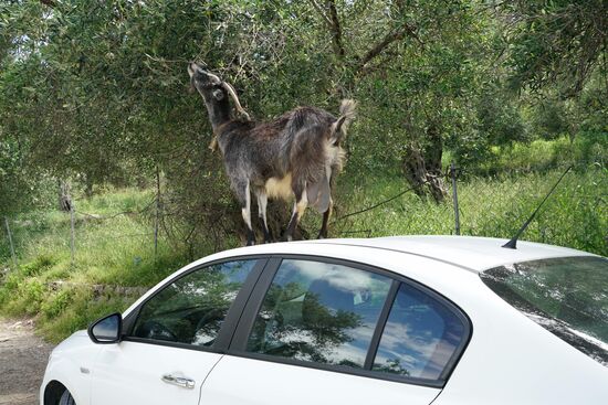 und wenn es nicht reicht, dann eben eine Stufe höher