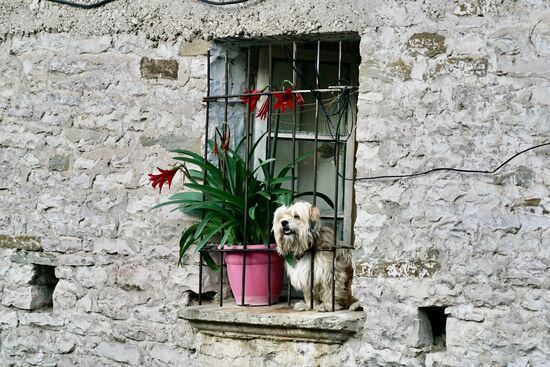 gute Aussicht durch das Gitter